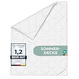 KNERST® Bettdecke 135x200 cm - Sommerdecke 135x200 - Steppdecke 135x200 für Komfortables Schlafen - dünne Decke 135x200 für den Sommer - Schlafdecke waschbar - leichte Sommerdecke - Bett Decke