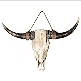 Bullenkopf Wandskulptur, Longhorn Rinderschädel aus stabilem Kunststein, detailgetreue Nachbildung, 38 x 34 x 8 cm