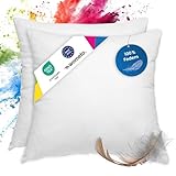 wometo 2er Set Federkissen 100% Federn 50x50-600g Oeko-TEX Sofakissen Füllkissen Bezug Baumwolle weiß/Innenkissen/Kissenfüllung/kleine Kopfkissen (2 Stück)