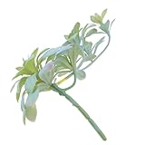 MALUGOGO Simulierte Sukkulenten-Rattan-Heimdekor, lebensechte hängende Rebe für ein natürliches Aussehen, ohne Bewässerung, Foto-Requisite und Innendekoration