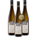 Oberkircher Winzer Gewürztraminer Auslese - GOLD AWC Vienna - COLLECTION OBERKIRCH - ein aromatischer Wein mit Düften nach Rosen und Nelken - Badischer Wein, Anbaugebiet Ortenau (3 x 0,75l)