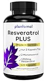 120 Resveratrol PLUS Kapseln mit 1350mg Resveratrol hochdosiert mit 100:1 Extraktverhältnis - reiner Resveratrol PLUS Komplex von plantomol® - nur 2 Kapseln/Tag - hochdosiert mit Piperin - vegan