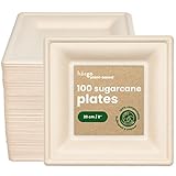 HAAGO 100 Premium Zuckerrohr Bagasse Einwegteller, (Eckig) 20cm - Stabil, Biologisch Abbaubar, Umweltfreundlich & Kompostierbar