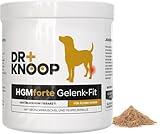 HGM Gelenkpulver für ältere Hunde, mit Grünlippmuschel, Teufelskralle & Glucosamin für mehr Bewegungsfreude, entwickelt vom Tierarzt Dr. Knoop, mit leckerem Vanille Geschmack, 3 x 220g