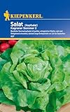 Kiepenkerl Kopfsalatsamen Kagraner Sommer 2 - Hitzebeständige, Schossfeste Salatsamen für saftigen Salat, Ideal für Sommeranbau im Gemüsegarten, Premium Samen