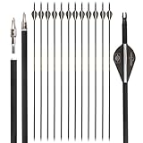 12pcs Pure Carbon Pfeile Spine 300 350 400 500 600 Jagdpfeile Zielpfeile für Recurve Bogen Compound Bogen (2 braun 1 weiß, Spine 350)