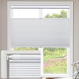 Top-Down Bottom-Up Cellular Plissee, schnurlose Verdunkelung Wabenplissee für Fenster, ohne Werkzeug oder Bohren, 86 cm B x 163 cm H, ideal für Zuhause und Büro (Weiß)
