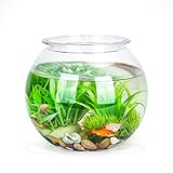 Nobleza - Kugelaquarium Bruchsicherer Kunststoff Fischschale, ideal für Blumen oder als Fischglas, 17.5 cm