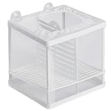 Pawfly Aquarium Fischzucht Netz Fisch Brut Box mit Nylon Mesh und Saugnäpfen Fisch Trennnetz Kleine Isolierbox für Fischbrut Laichkasten Aufzuchtbehälter für Jungfische Garnelen und Kampffische Betta
