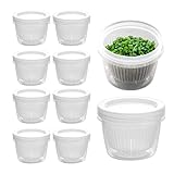 Rainao Aufbewahrungsbehälter für den Kühlschrank, doppellagige Zwiebel- und Knoblauchaufbewahrung, Lebensmittel-Aufbewahrungsbox für gehackte grüne Zwiebeln, Ingwer, Knoblauch, Gemüse und Obst