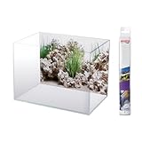 AMTRA Wonder - Aquarium Poster Hintergrund, Aquarium Dekoration, Deko Poster mit Doppeldruck, Format 30x60cm