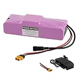 UURRPP E-Bike Batterie 36V Li-Ionen Batterie 7Ah 10Ah 12Ah 14Ah 18Ah 20Ah mit 42V Ladegerät 200W 1200W 250W 300W 400W 500W 800W 1000W Kann für Roller usw.