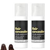 Hairfillup Haar-Concealer, Hairfillup Haar-Concealer Schwarz 50 Ml, Schweißfestes, Wasserfestes Puder Zur Verbesserung Der Haarlinie, Für Männer Und Frauen (2pc)