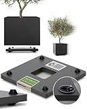 Pflanzwerk Pflanzkübel Untersetzer - Ultraflacher Designer Pflanzenroller - 38 x 38cm - Eckig und rund für alle Blumentöpfe & Blumenkübel - Indoor & Outdoor Gefäßroller - 2 Jahre Garantie