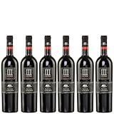 Domain Mega Spileo Cuvée III 6x 0,75l rot trocken Cavino | Griechischer Rotwein | + 20ml Jassas Olivenöl