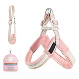 Hundegeschirr und Führleine - Verstellbares Brustgeschirr für Hunde - Inklusive Aufbewahrungstasche Atmungsaktiv Passform Für Training Wandern Spazieren Tierbedarf