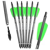 PYMUST 12 Stück Jagd-Carbonpfeile 7,5/15 Zoll Spine 400 Bolzen Gemischte Carbonpfeile 100 Grain Pfeilspitze Bogen Outdoor Bogenschießen Zielscheibe (7 Zoll)