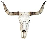 Bullenschädel Longhorn Schädel Skull Totenschädel Schädel Geweih Figur