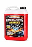 ProNuri Einspritzdüsen Reiniger, Professionelle Formel, Ultraschallreinigung für Dieseldüsen und Vergaser, 5 Liter, Flüssigkeit, Leistung Steigern