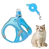 Set für kleine Hunde und Leinen, reflektierend, kein Würgen, ausbruchsicher, für Welpen, Kätzchen, Katzen, Weste mit reflektierenden Riemen, für Wandern, Camping, Ausflüge, Tierarztbesuche im Freien