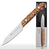 F. DICK Officemesser VIVUM 10 cm - rostfrei, Klinge extra scharf, 58 HRC, klein, Birkenholz Designgriff komfortabel - Spezialstahl Küchenmesser - Profi Messer Made in Germany - 83647102H