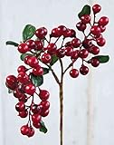 artplants.de Kunst Holunderbeeren Zweig IRMINA mit Beeren, rot, 35cm - Kunstzweig Holunderbeere