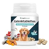Napfpower Gelenktabletten Hund (125 STK.) mit Grünlippmuschel - Leckerli mit MSM, Teufelskralle, Glucosamin, Hyaluron & Kurkuma Unterstützt die Gelenke & Knochen