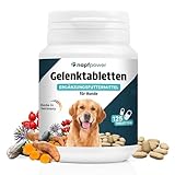 napfpower Gelenktabletten Hund (125 Stk.) mit Grünlippmuschel - Leckerli mit MSM, Teufelskralle, Glucosamin, Hyaluron & Kurkuma Unterstützt die Gelenke & Knochen