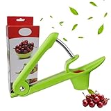 Kirschkernentferner, Kirschentkerner, Edelstahl Entkerner Kirschen, Kirschentsteiner Obstentkerner Cherry Corer Entferner, Hand Fruit Entkernen, Kirschenentkerner, für Kirsche Obstbeere (M2)