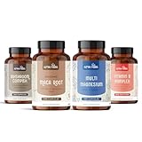 Alpha Foods Energiepaket: Maca + Pilz Komplex + Multi Magnesium + Vitamin B-Komplex - Für einen Energieschub