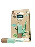 Kneipp Lippenpflege Wasserminze und Aloe Vera Hydro, 4.7g (1er Pack)