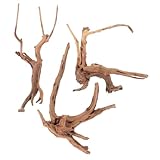 ibasenice 3Stücke Teiliges Driftwood für Aquarien Natürliche Holzornamente für Reptilien Terrarien Zufällige Auswahl Dekorativ und Pflegeleicht