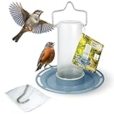 SWISSINNO Vogeltränke „Zug“ SMAR Birds Hellblau – UV resistente Vogeltränke aus robustem PC und ASA Kunststoff – Wasserspender für Wildvögel Balkon Terrasse Garten – Langlebig + leicht zu reinigen