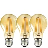 Vanpus 6W A60 E27 LED Glühbirnen AC/DC 12-24V Warm Weiß 3000K Vintage Glühbirne Äquivalent 60W Halogen 360 Grad für RV Camper Marine Yacht Lorry (3 Stück)