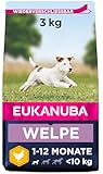 Eukanuba Welpenfutter mit frischem Huhn für kleine Rassen, Premium Trockenfutter für Junior Hunde, 3 kg