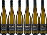 Weinmanufaktur Reitz Riesling 2024 Trocken (6 x 0.75 l)