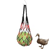 Hühner-Futternetzbeutel – Hühner-Obsthalter, hängende Hühner-Obst-Futternetztasche | Easy Feeder Chicken Treat Fütterungswerkzeug, Hühnerstallspielzeug, Hühnerstallzubehör (21,26 x 3,15 x 1,57 Zo