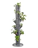 Gusta Garden Sissi Strawberry Erdbeerbaum Classic Anthrazit - Hochbeet System Erdbeeren mit Wandhalterung - Garten & Balkon - 113 cm - 15L Erdvolumen