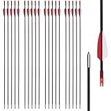 20er Pack Ersatzpfeile für Kinder und Einsteigerbögen | Pfeile für Bogenschießen Kinder, 1200 Spine, ID7.0mm, 28/26 Zoll Bogen Pfeil Übungspfeile Fiberglaspfeile für Anfänger Pfeil und Bogen Zielübung