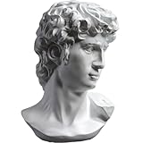 PIGPIGFLY Michelangelos David Büste Statue,Deko Wohnzimmer, Statue der David, Home Store Dekoration, Moderne Wohnzimmer Ornamente, Polyresin, Geschenk（David）