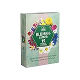 Nojus Blumen Samen Set - Blumensamen 15 Packungen - Garten Blumen Saatgut - Bunte Pflanzensamen - Wildflower Seed - Blumensamen Tütchen 15 Sorten - Ideales Blumensamen Geschenk