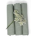 Farnberg Geschirrtücher Leinen, Trockentücher Grün Uni | Reinleinen, Leinen 100% | Leinen Geschirrtuch 3 im Set, 3er Pack |l Mit Liebe in Deutschland genäht | 45x65 cm (BxL) | Uni Salbei