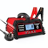 Autobatterie Ladegerät 25A 12V/24V Autobatterie Ladegerät Vollautomatisches Intelligentes Erhaltungsladegerät mit LCD-Display Ladegerät für Autobatterien und Motorradbatterie