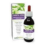 Kalmegh oder Grüne Chiretta (Andrographis paniculata) Spitzen Alkoholfreier Urtinktur Naturalma - Flüssig-Extrakt Tropfen 120 ml - Nahrungsergänzungsmittel - Veganer