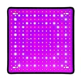 Pflanzenlampe, Voll-LED-Wachstumslicht, 2000 W, Pflanzenlampen, Hydrokultur-Lampe, 1000 W, 1500 W, Gewächshaus-Fito-Lampen, Blumenwachstums-Beleuchtungsbox(Type 5-2000W-256Leds_1)