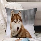 VJIZLOQB Kissenbezug 50x50cm Dekokissen Polyester Sofakissen,Kissenbezüge,für Sofa Schlafzimmer Wohnzimmer Outdoor Kissenhülle,Schneeschlitten Siberian Husky Hund Schnee Alaska Tiere Wildlife Natur