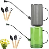 2 Stück Gießkanne, 1L Gießkanne mit Ausguss, Gießkanne Zimmerpflanzen, Langer Auslauf Giesskanne, Gießkanne mit Komfort Griff für Den Zimmerpflanzen, Balkonpflanzen Blumengießkanne (Grau+Grün)