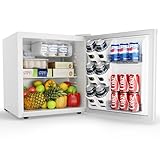 EUHOMY 46L Mini-Kühlschrank mit Umkehrbarer Tür, 7-Stufen Thermostat + Kühlbox, 39dB Ultra-Leise Kühlschrank klein für Schlafzimmer/Büro, Energieeffizient, Kompakt (Weiß)
