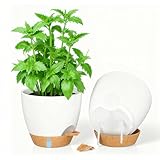 SenaiMy 2 Stück 20 cm Blumentopf Klein Set weiß, Selbstbewässerungstopf mit wasserstandsanzeige & Bewässerungslippe für Garten, Büro & Fensterbank, Plastik Blumentopf für Innen & Außen