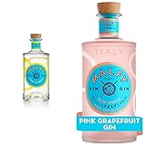 Malfy Gin con Limone – Super Premium Gin aus Italien mit italienischen Zitronen – 41% Vol – 1 x 0,7L & Gin Rosa – Super Premium Gin aus Italien mit Pink Grapefruit und Rhabarber – 41% Vol – 1 x 0,7L